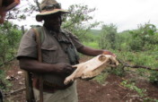 Support 340 Wildlife Rangers in Zimbabwe