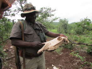 Support 340 Wildlife Rangers in Zimbabwe