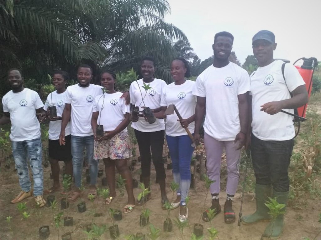 REFORESTATION OF MINNED LAND SURFACES IN ELLEMBELL