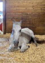 Jose is taking it easy between lessons.