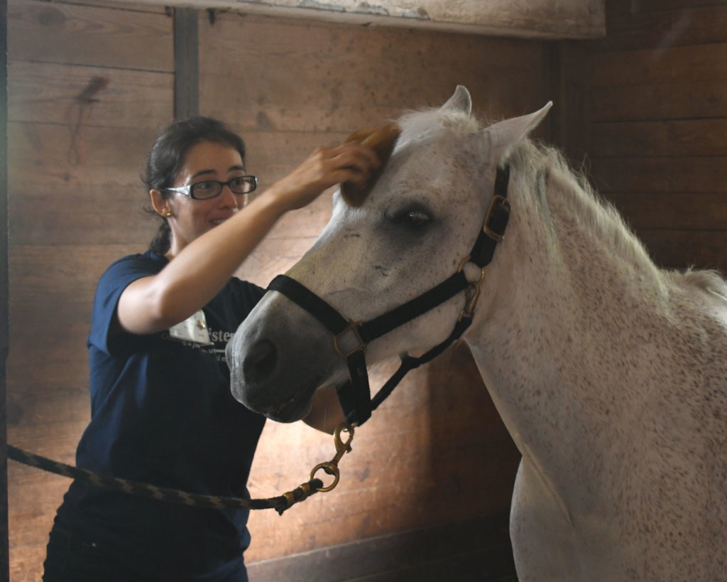 Horse Heroes Help Individuals with Special Needs