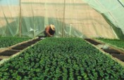 Localize Access to Renewable Energies in Morocco