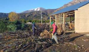 Ecoforestal Team at Work
