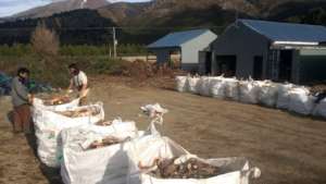 Produced biomass for distribution