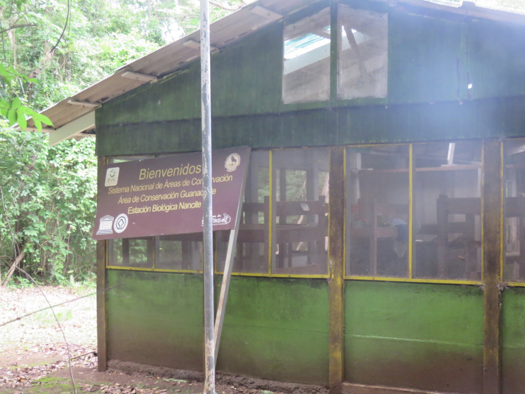 Protect Sea Turtles & Researchers in Costa Rica