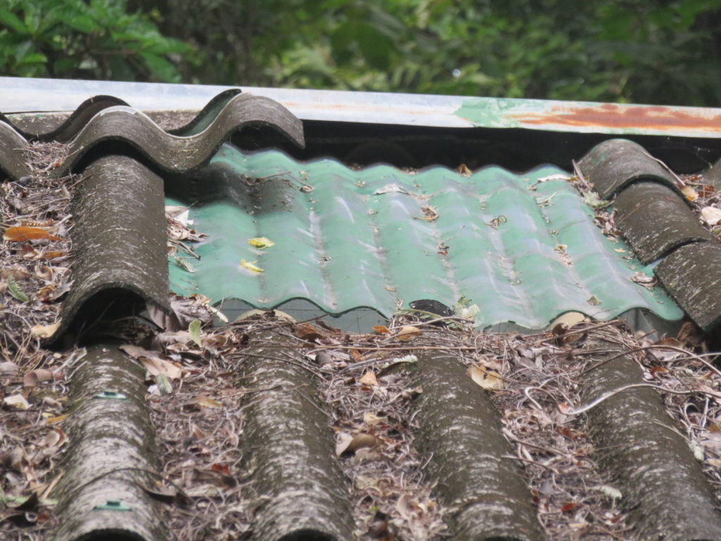 Current roof condition - peeling tiles and patches