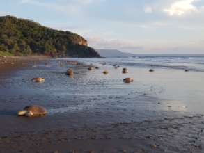 Playa Nancite