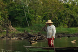 Overfishing has depleted the food supply