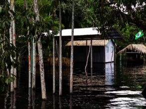 Boat shelters - no cars here
