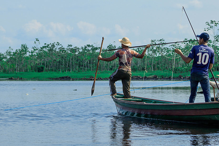 Sustainability & Food Security for the Amazon-BR