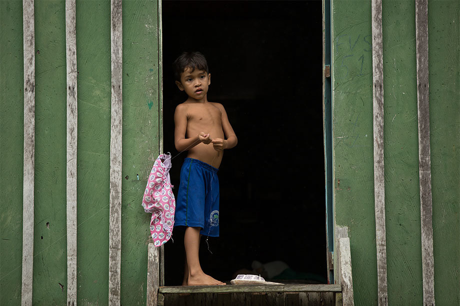 Sustainability & Food Security for the Amazon-BR