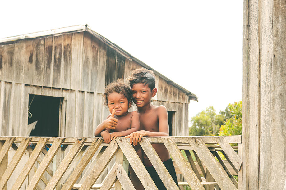 Sustainability & Food Security for the Amazon-BR