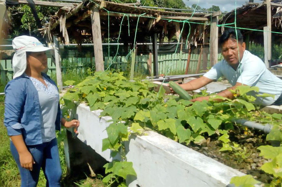 Sustainability & Food Security for the Amazon-BR