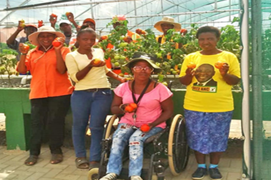 Sustainability & Food Security for the Amazon-BR