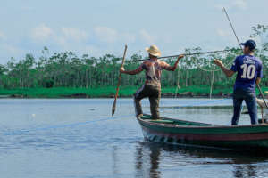 Dwindling Fish Populations