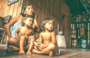 Sustainability & Food Security for the Amazon-BR