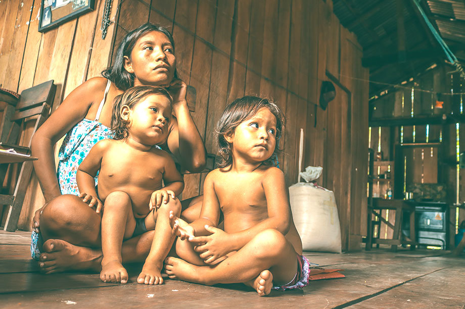 Sustainability & Food Security for the Amazon-BR