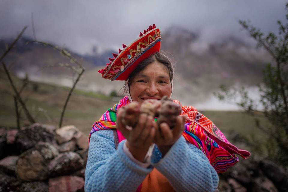 Trekking High-Andes of Cusco on Virtual Reality!