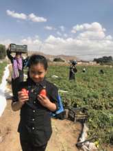 Girls & young women Gather fruits & spreading life