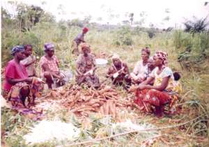 Help build a work centre for 630 women in Benin