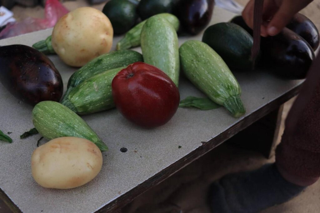 Food as Medicine for Palestine's PKU Kids