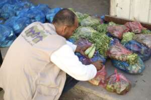 Fresh vegetables, fruits, and canned goods