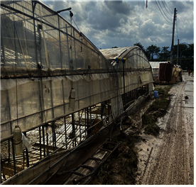 Flood Recovery Assistance : Gurye, South Korea
