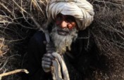 Supporting Old people in Afghanistan-SONA
