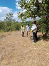 Marking the foundations