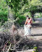 Cleaning La Salina Mangrove swamp, vital for all.
