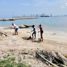 Cleaning beaches in Punta Arena