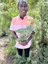 Joshua joined secondary school in July