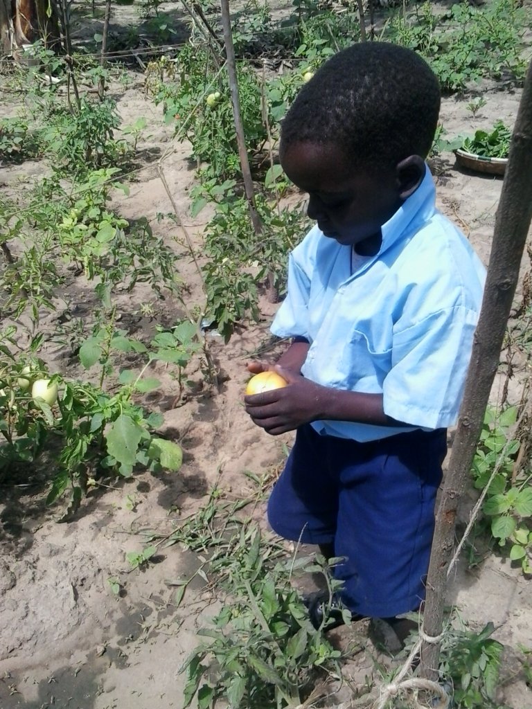 Protect 150 children in Kilifi,  Kenya