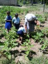 We love gardening!