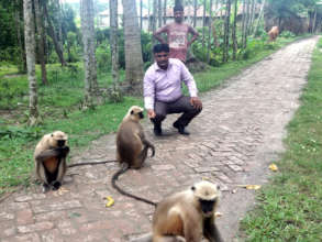 Scenery of feeding food.