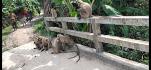 Waiting in a village.