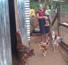 Vicenta, Granddaughter, and Hens