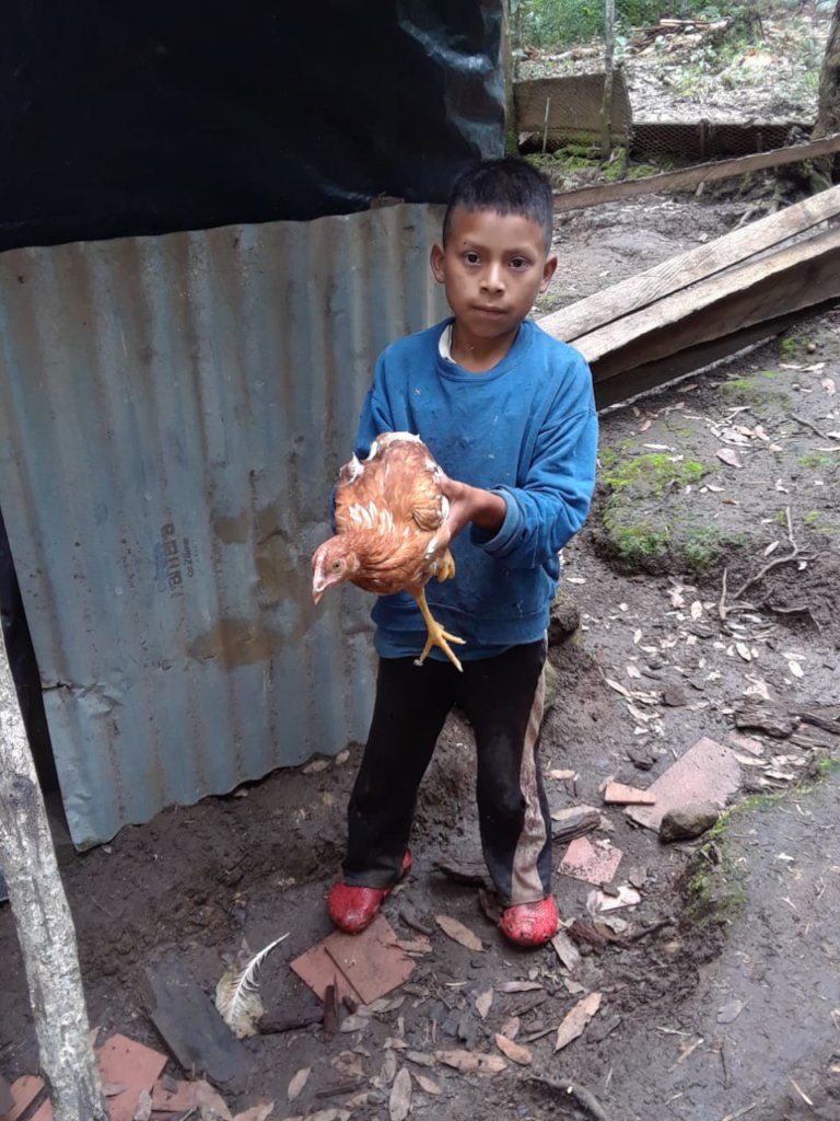 Hens Hatching Hope:  Un Huevo Cada Dia