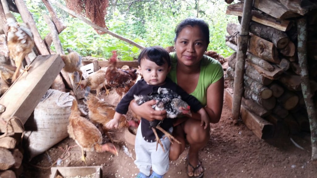 Hens Hatching Hope:  Un Huevo Cada Dia