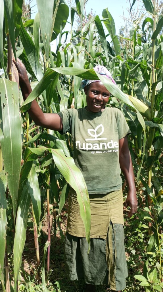 Successful farming, expecting good harvest