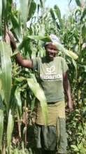 Successful farming, expecting good harvest