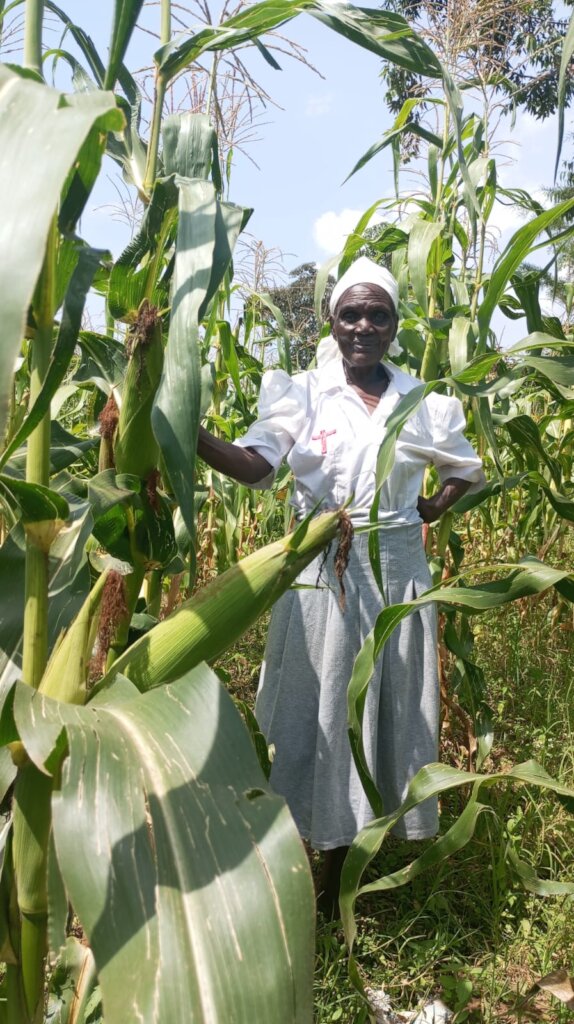 The corn is ready, successful visitation