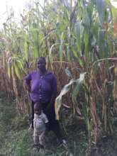 Beneficiary standing on her farm. Maize did well