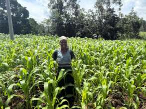 One of the widows' on her farm
