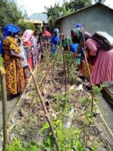 MGVs learning pest management