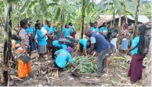 training of YMVs on biochar/composting