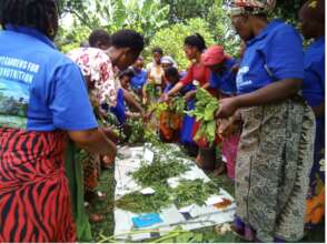 Botanical Pesticide Training, Model Gardener Vols.