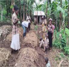 Heavy mulching for water retention/weed management