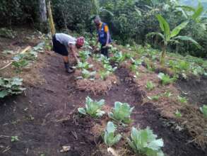 Phase 7 Raised Bed Preparation