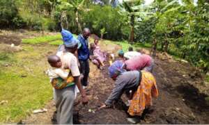 Young mothers planting